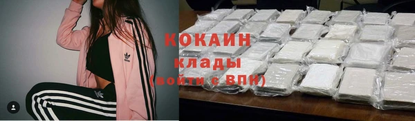 Альфа ПВП Каменка
