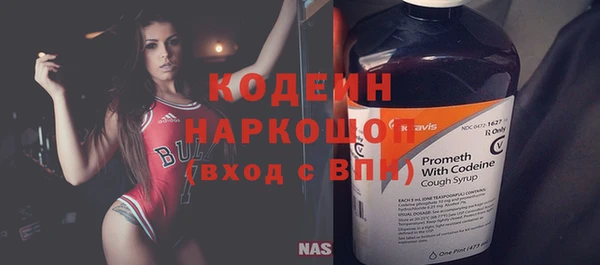 молекула духа Бородино