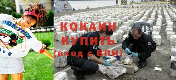 молекула духа Бородино