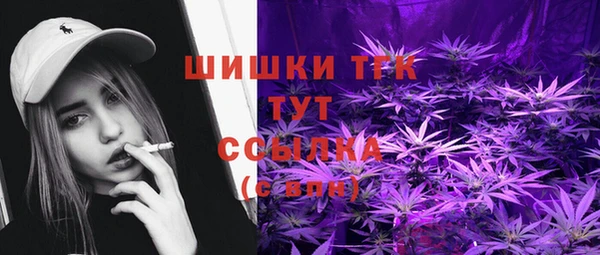 молекула духа Бородино