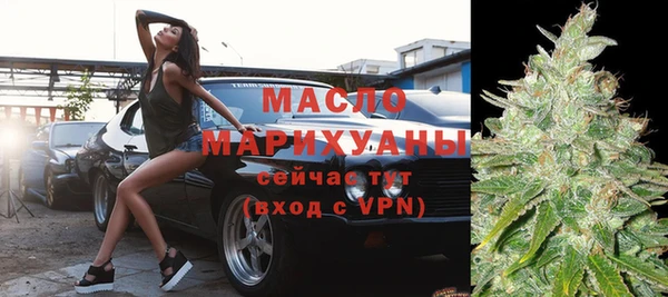 молекула духа Бородино