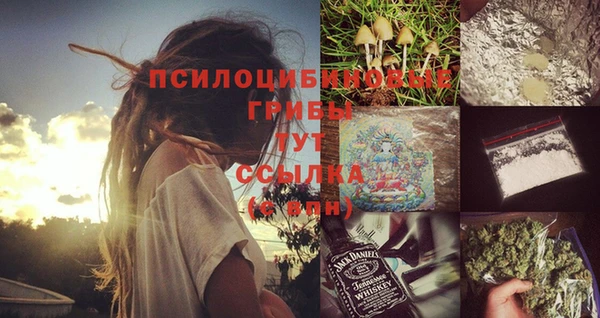 молекула духа Бородино