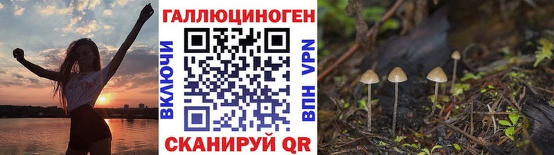 Галлюциногенные грибы ЛСД  blacksprut ONION  Нариманов  дарнет шоп 