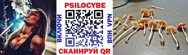 Псилоцибиновые грибы GOLDEN TEACHER Нариманов